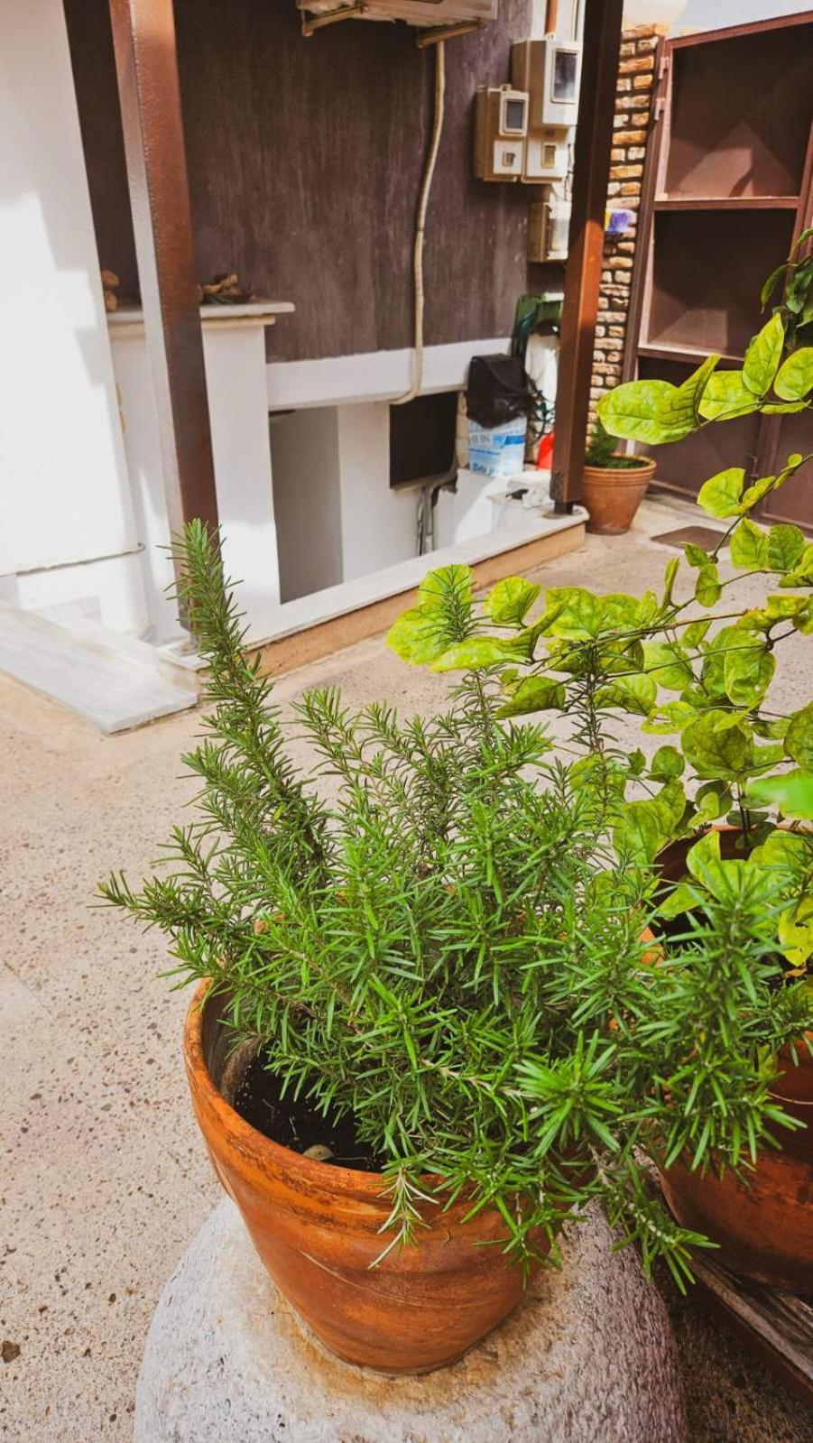 Stone Apartment Chalkida